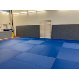 Protection murale traditionnelle arts martiaux